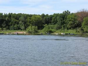IMG 1571-486