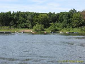 IMG 1572-487