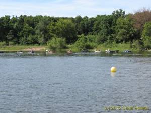 IMG 1573-488