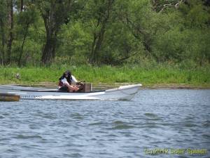 IMG 1700-596