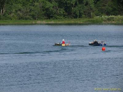 IMG 4818-084
