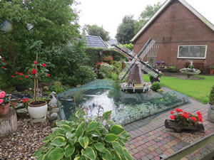 A backyard garden with windmill